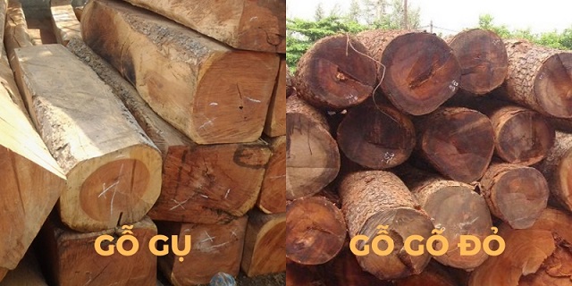 Biết được cách phân biệt gỗ gõ đỏ và gỗ gụ rất quan trọng